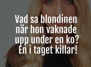 blondin skämt 